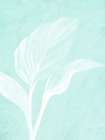 White Palm 3 Minimalist Print