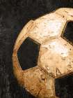 Love Of The Game 4 Art Print