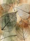 Imprint Leaves 1 Art Print