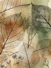 Imprint Leaves 2 Art Print