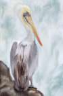On Watch Art Print