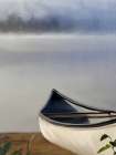 White Canoe Lake Art Print
