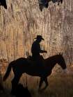 Cowboy Silhouette Wood 1 Art Print
