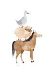 Farm Life Stack 1 Art Print