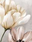 Blooming Mocha 1 Art Print