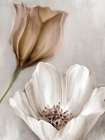 Blooming Mocha 2 Art Print