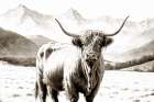 Highland Sepia Sketch Art Print