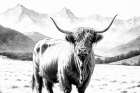 Highland Sketch Art Print