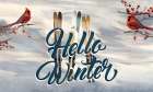 Hello Winter Cardinals And Skis Art Print