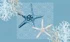 Starfish Tours Art Print