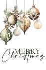 Merry Ornament Botanical Print