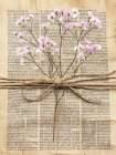 Tied Floral 1 Art Print