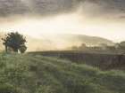 Sunset Field Art Print