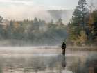 Morning On The Lake Art Print