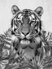 Palm Tiger 2 Art Print