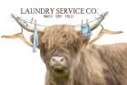 Laundry Service Co Art Print