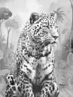 Soft Jungle 4 Art Print