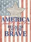 America Land Of The Free Art Print