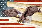 We The People Eagle Art Print