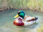Peaceful Swim Art Print