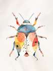 Colorful Beetle 1 Art Print