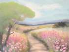 Summer Path Art Print