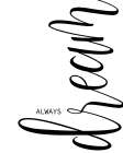 Always Dream Art Print