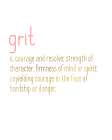 Grit Art Print