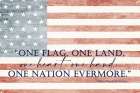 One Flag Art Deco Print