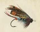 Fly 2 Art Print