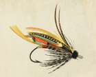 Fly Fish 3 Art Print