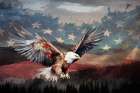 Red White And Blue Flight Art Print