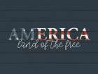 Land Of The Free Art Print