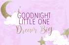 Goodnight Art Print