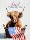 USA Laundry Day Art Print