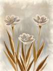 Petals 2 Art Print