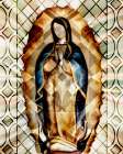 Guadalupe Glass Art Print