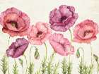 Poppy Days Art Print