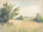 Summer Green Art Print