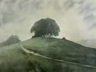 Hillside Path Art Print