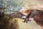 USA Eagle Flight Art Print