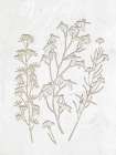 Floral Imprint 2 Art Print
