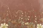 Wildflower Layers Art Print