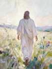 Wildflower Faith Art Print