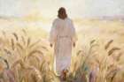 In His Steps Art Print