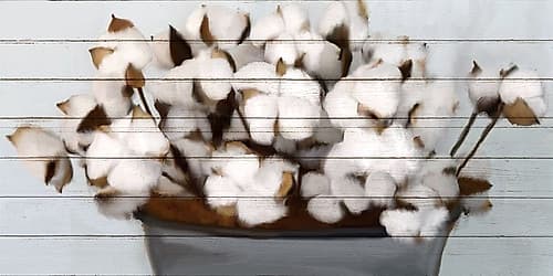 Cotton Gather 1 Art Print