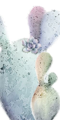 Succulent Speckled 1 Nature Print