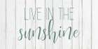 Live in the Sun 2 Art Print