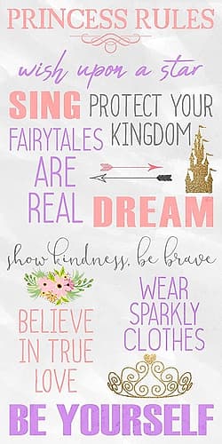 Princess Rules Panel Art Print