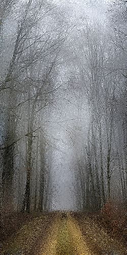 Road of Mysteries 1 Landscape Print